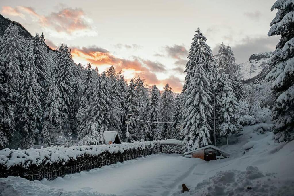 מויסטראנה Idyllic Triglav Forest Retreat - Alps, Trails, Lakes, Falls מראה חיצוני תמונה