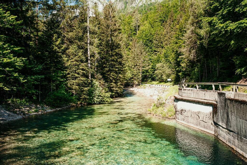 מויסטראנה Idyllic Triglav Forest Retreat - Alps, Trails, Lakes, Falls מראה חיצוני תמונה